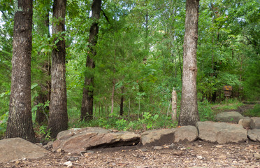 Eastern Oklahoma Oak Forest with hiking trail and boulders