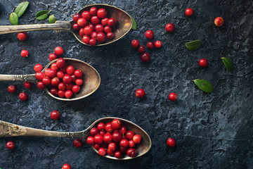 Raw organic fresh cowberry or lingonberry in vintage silver spoons on dark stone table