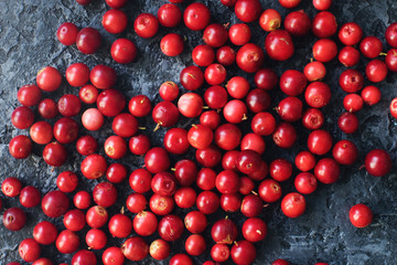 Raw organic fresh cowberry or lingonberry on dark stone table