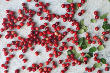 Raw organic fresh cowberry or lingonberry on white table