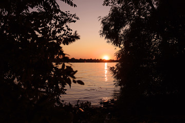 View through the dark branches of trees at sunset over the river. Evening.