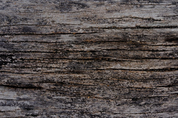 Texture, Background - Old Wood