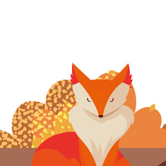 fox mammal happy autumn season flat design