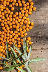 Sea buckthorn berries on a wooden background. Autumn decorative frame or border with fresh ripe sea-buckthorn berries and old wooden plank