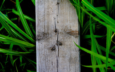 Texture, Background - Tree, Bench, Grass