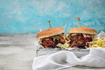Pulled beef burgers with cabbage and sauce, with copy space