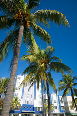 Bright sunny morning view of typical colorful Art Deco architecture with tropical palm trees on...