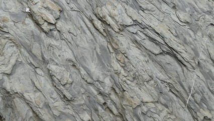 Aggregati naturali. Trama di roccia viva