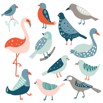 Colorful doodle bird set