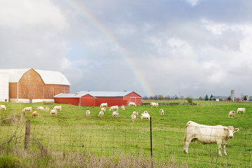 Farm scene with red barn and farm animals