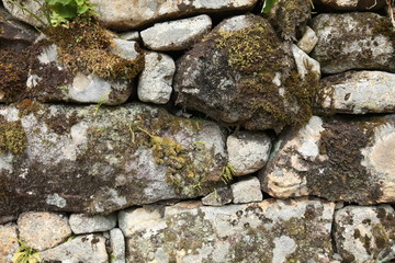 stone wall with moss