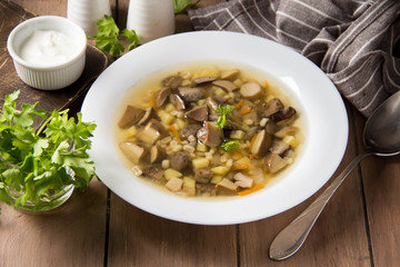 Soup of wild mushrooms (aspen, white, boletus) with vegetables, potatoes, pearl barley. Traditional Russian first course, delicious food for lunch, hot cozy dish