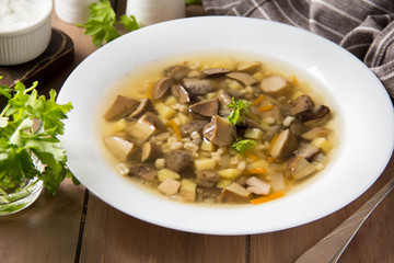 Soup of wild mushrooms (aspen, white, boletus) with vegetables, potatoes, pearl barley. Traditional Russian first course, delicious food for lunch, hot cozy dish