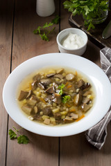 Soup of wild mushrooms (aspen, white, boletus) with vegetables, potatoes, pearl barley. Traditional Russian first course, delicious food for lunch, hot cozy dish