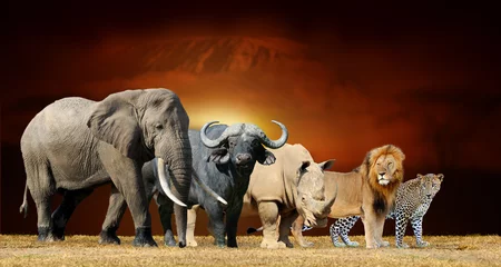 Fotobehang Afrika Big five on savanna landscape background and Mount Kilimanjaro at sunset  © byrdyak