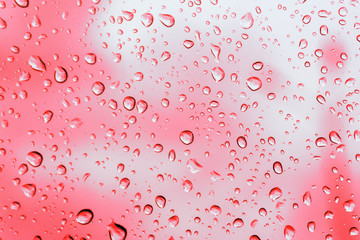 Raindrops on the glass closeup. Bright beautiful background of trendy coral color. Place for text. Delicate pink backdrop. Water drop texture