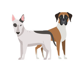 cute and adorable dogs on white background