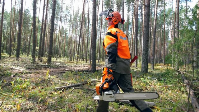 Lumberman is walking along the forest with a chainsaw
