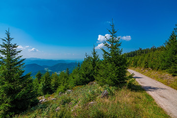 View down of a mountain in Black Forest / Schwarzwald, Germany