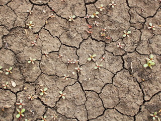 drought soil black soil texture background
