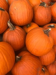pumpkins for sale at market - a collection of pumpkins