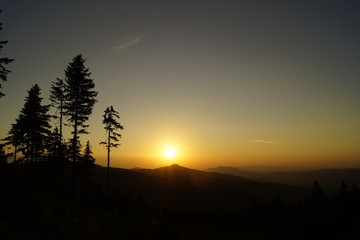 Sunset in the mountains in the forest with trees silhouette