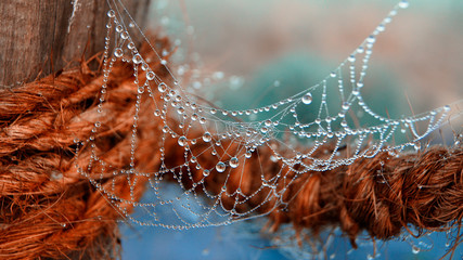 Spinnennetz mit Regentropfen  und Kordel oder Schnur im Hintergrund. Perlenkette aus Wassertropfen