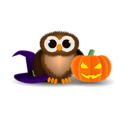 Halloween pattern, owl plush with hat and pumpkin on isolated background with shadow, vector illustration