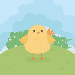 cute chick animal farm character