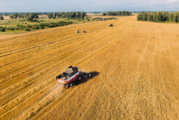 Aerial view on the combine working on the large wheat field