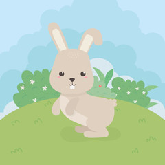 cute rabbit animal farm character