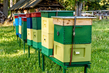 Bienenstöcke auf einem Bauernhof