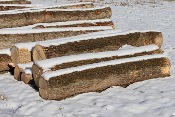 Wood waiting to be cut at lumber yard