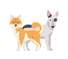 cute and adorable dogs on white background
