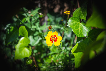 A Walk in the Neighborhood 