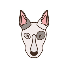 head of cute bull terrier dog on white background