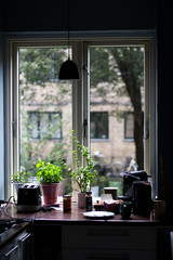 Cozy kitchen