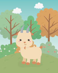 cute goat animal farm character