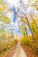 Autumnal nature with meadows and forests beautiful panorama calm day.
