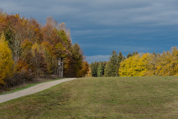Naklejka premium Autumnal nature with meadows and forests beautiful panorama calm day.