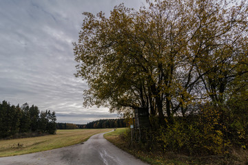 beautiful landscape in the nature. Trees fields and no people.