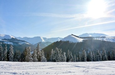 winter landscape in Prislop Pass