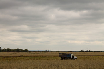 Naklejka premium A field of ripe rye and sweeper skyline and cloudy sky