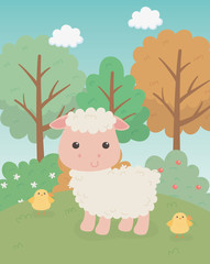 cute sheep animal farm character