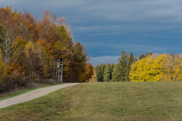 beautiful landscape in the nature. Trees fields and no people.