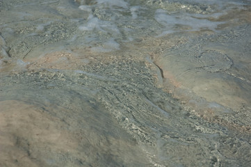 Fototapeta na wymiar Wet stones on an ocean beach