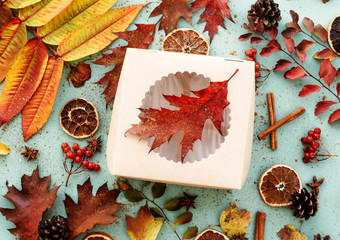 Flat lay autumn leaves, background, colorful autumn leaves.
