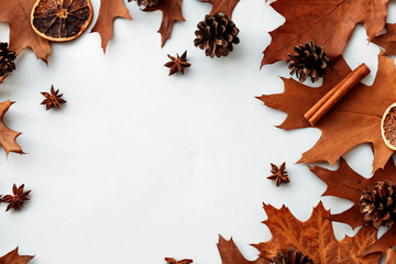 Oak leaves, cones, dried orange. Flat lay autumn leaves, background, colorful autumn leaves. Place for text.