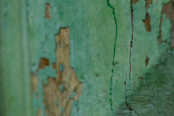 Green painted old wood texture