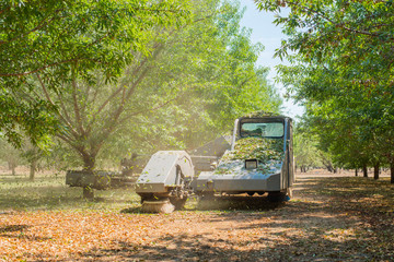 almond tree shaker shaking trees, leaves falling from trees being shaken, tree shaker during harvest season